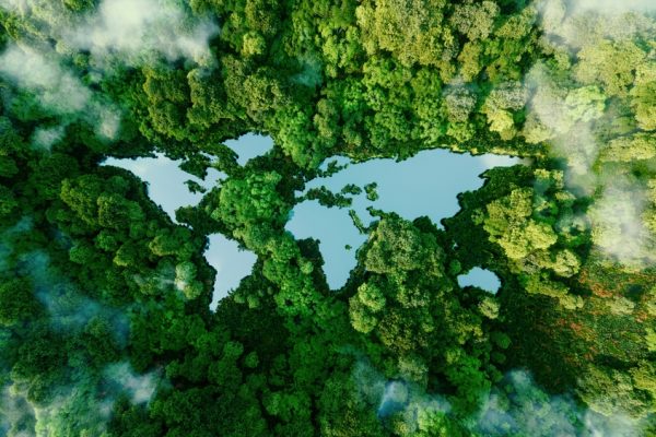 High expectations on sustainability and pandemic preparedness