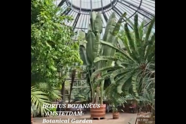 Hortus Botanicus Amsterdam (Botanical garden Amsterdam ) – 5 minute travel guide – What to visit