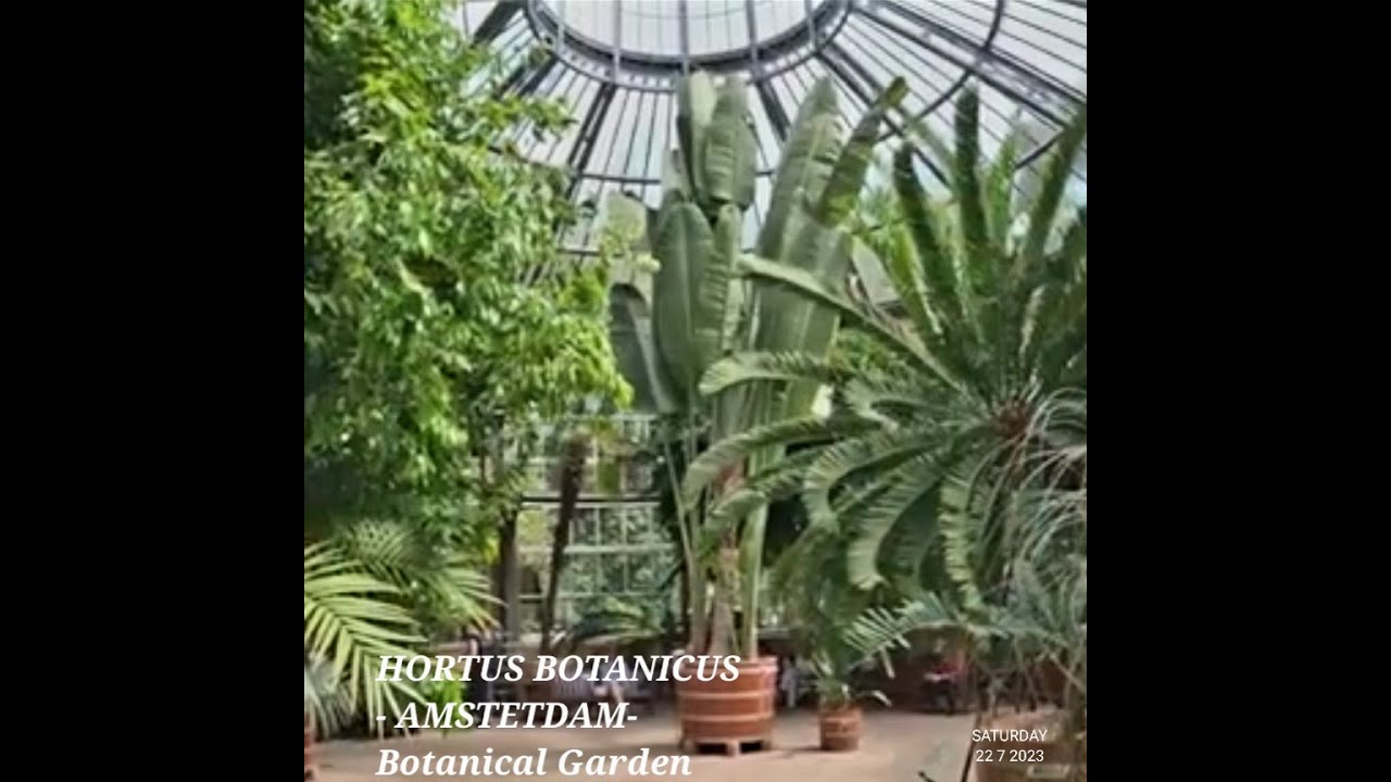 Hortus Botanicus Amsterdam (Botanical garden Amsterdam ) – 5 minute travel guide – What to visit